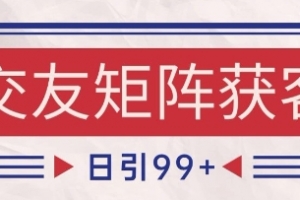 小红书某音交友赛道引流获客 自热矩阵日引200+