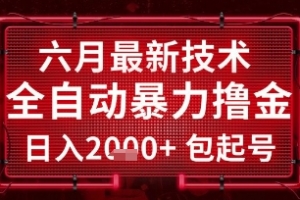 六月最新技术全自动暴力撸金,稳定日入2k+包起号,长期稳定