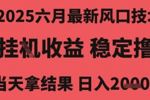 2025六月最新风口技术,无人挂G撸礼物,长期稳定 一个小时收益2k+,小白当天拿结果