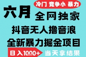2025年6月高爆抖音无人直播最新撸音浪掘金项目,无脑日入1k+,低门槛小白可做,可矩阵放大
