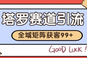 小红书某音塔罗赛道引流获客 自热矩阵日引200+