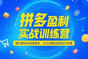 拼多多盈利实战训练营,强付费玩法深度解析,2025运营技巧合集-更新6月