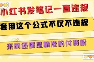 小红书发笔记一直违规,套用这个公式不仅不违规,来的还都是精准的付费粉