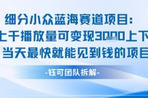 小众蓝海赛道项目:当天变现1k+适合新手操作 +适合长期玩