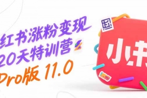 小红书涨粉变现120天特训营Pro版11.0:从0到1掌握平台运营,内容制作和变现