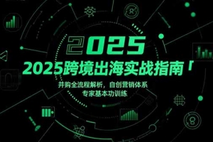 2025跨境出海实战指南,并购全流程解析,自创营销体系,专家基本功训练