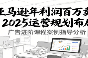 亚马逊年利润百万卖家2025运营规划布局,广告进阶课程案例指导分析