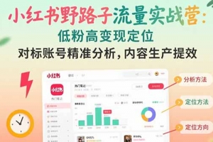 小红书野路子流量实战营:低粉高变现定位 对标账号精准分析 内容生产提效