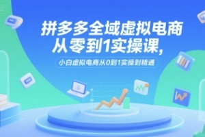 拼多多全域虚拟电商从零到1实操课,小白虚拟电商从0到1实操到精通