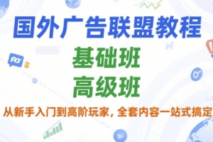 国外广告联盟教程,基础班和高级班,从新手入门到高阶玩家,全套内容一站式搞定