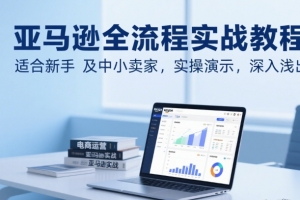 亚马逊全流程实战教程,适合新手及中小卖家,实操演示,深入浅出