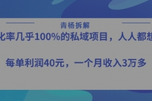 转化率最高的私域项目,每单利润40-50米,月入过1w