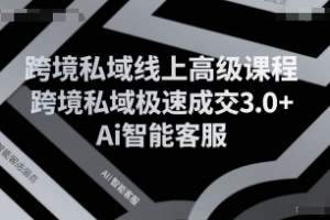 跨境私域线上高级课程,跨境私域极速成交3.0+Ai智能客服