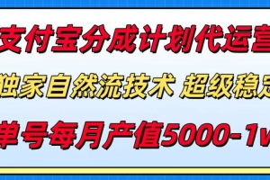 支付宝分成计划代运营,最新自然流技术,收益稳定,单号月产5000+!