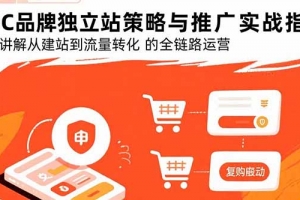 DTC品牌独立站策略与推广实战指南,系统讲解从建站到流量转化的全链路运营