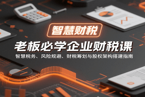 老板必学企业财税课:智慧税务、风险规避、财税筹划与股权架构搭建指南