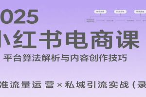 2025小红书电商课:解析算法,创作高转化内容,助力卖家获取流量实现变现(录音)