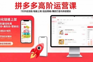 拼多多高阶运营课:7天开店流程/链接上架/选品策略/爆款打造与持续增长