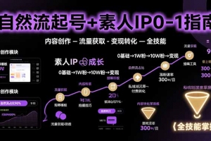 自然流起号+素人IP0-1指南,快速掌握内容创作-流量获取-变现转化-全技能