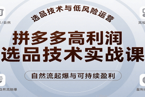 拼多多高利润选品技术实战课,手把手教学自然流高投产起爆,实现低风险可持续盈利