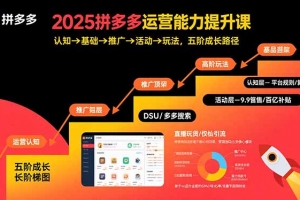 2025拼多多运营能力提升课:认知→基础→推广→活动→玩法,五阶成长路径