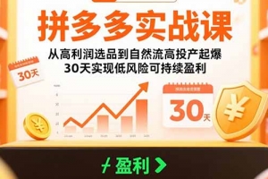 拼多多实战课:从高利润选品到自然流高投产起爆 30天实现低风险可持续盈利