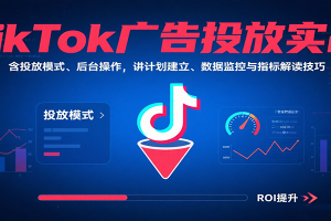 TikTok广告投放实战,含投放模式、后台操作,讲计划建立、数据监控与指标解读技巧