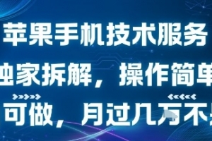 苹果手机技术服务,独家拆解,操作简单,小白可做,月过1W不是梦