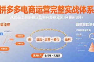 拼多多电商运营完整实战体系,从选品上架到稳定盈利完整商业闭环(更新8月)