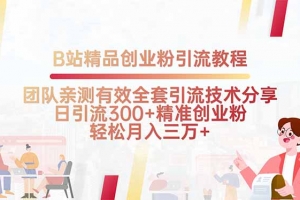 B站精品创业粉引流教程,团队亲测有效全套引流技术分享,日引流300+精…