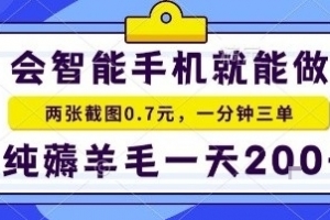手机项目,二十秒一单,纯薅羊毛一天2张+做就有