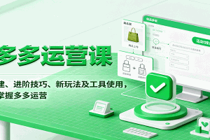 拼多多运营课,入门搭建、进阶技巧、新玩法及工具使用,一站式掌握多多运营