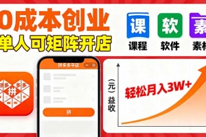 拼多多虚拟电商,0成本,单人可矩阵开店,轻松月入3W+