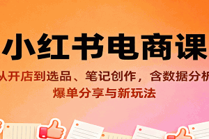 小红书电商课:从开店到选品、笔记创作,含数据分析,爆单分享与新玩法