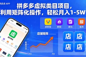 拼多多虚拟类目项目,利用矩阵化操作,轻松月入1-5W
