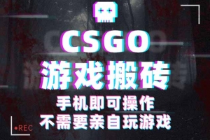 CSGO游戏挂机捡漏,单日扫货500+,年底小高峰上车可吃肉,手机即可操作…