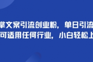 手掌文案引流创业粉,单日引流100+,可适用任何行业,小白轻松上手