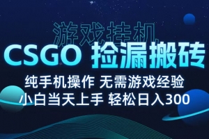 9月最新游戏搬砖,CSGO纯挂机,不需要玩游戏,实现真挂机,月入1W+