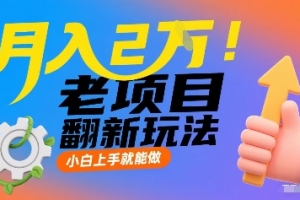 月入2W!老项目翻新玩法,小白上手就能做,非常容易上手