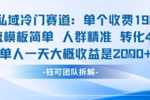 私域冷门赛道单个收费198米引流模板简单人群精准 45%的转化率单人一天大概收益多张