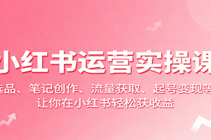 小红书运营实操课:选品、笔记创作、流量获取、起号变现等,让你在小红书轻松获收益