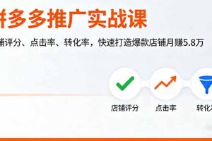 拼多多推广实战课,店铺评分、点击率、转化率,快速打造爆款店铺月赚5.8万