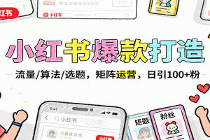 小红书爆款打造:流量/算法/选题,矩阵运营,日引100+粉