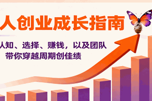 个人创业成长指南:涵盖认知、选择、赚钱,以及团队管理,带你穿越周期创佳绩