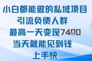2025年小白都能做的私域项目引流负债人群最高一天变现1k+高变现难度低当天就能见到钱上手快