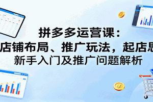 拼多多运营课:含店铺布局、推广玩法,起店思路,新手入门及推广问题解析
