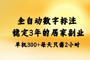 全自动数字标注,稳定3年的蓝海项目,居家也能矩阵开干的副业,单机日入3张+